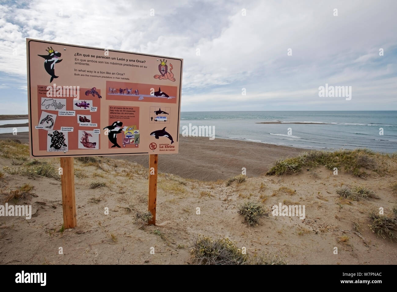 Whale watching sign, Punta Cantor, Peninsula Valdes, Chubut, Patagonia, Argentina, October 2007 Stock Photo