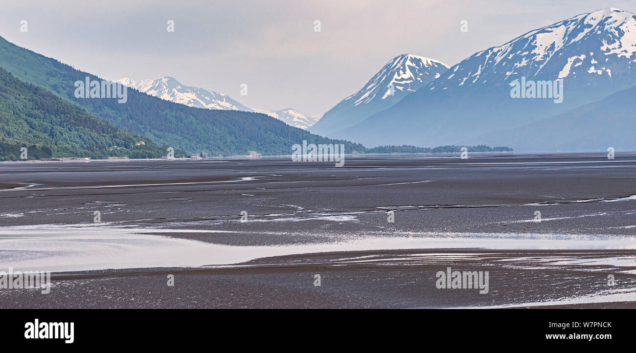 the low tide mudflats in the Turnagain Arm in Alaska with the Chugach Mountains in the Background Stock Photo