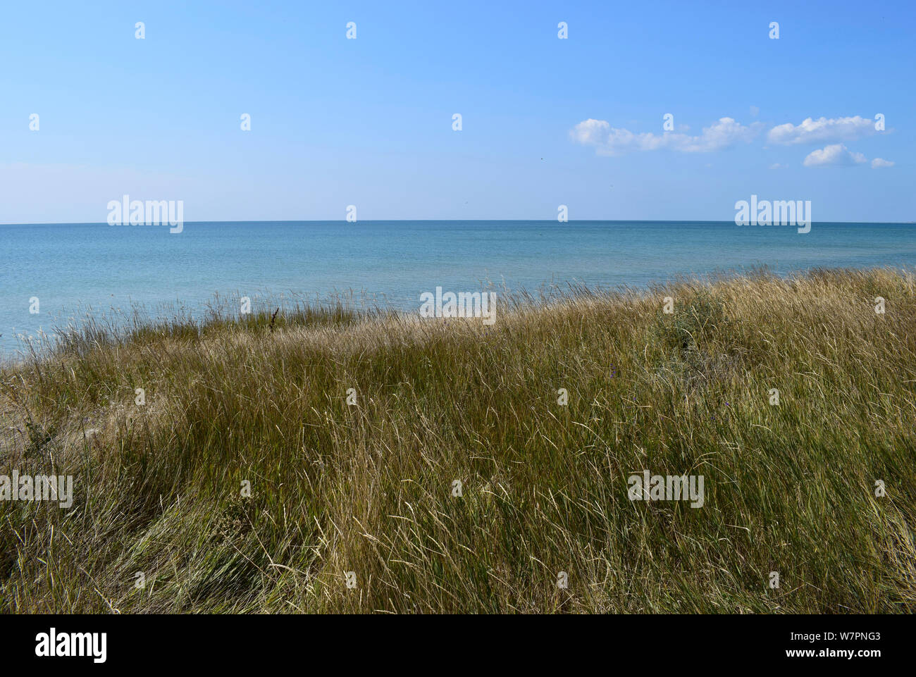 The precipitous shore of the sea in the steppe. Grass landscape near seascape close to sea edge. Beautiful sea landscape. Travel background. Stock Photo