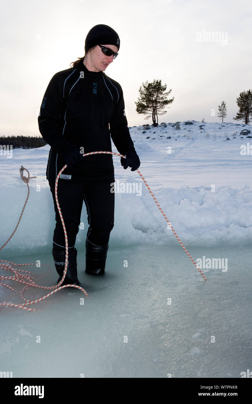 Big dipper ice arena hi-res stock photography and images - Alamy