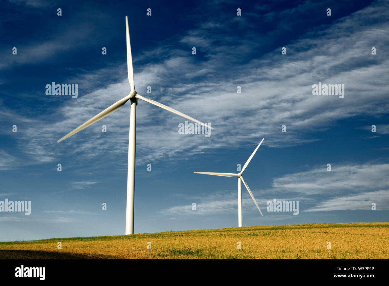 Marengo Wind Facility near Dayton. Washington, USA. August 2011. Stock Photo