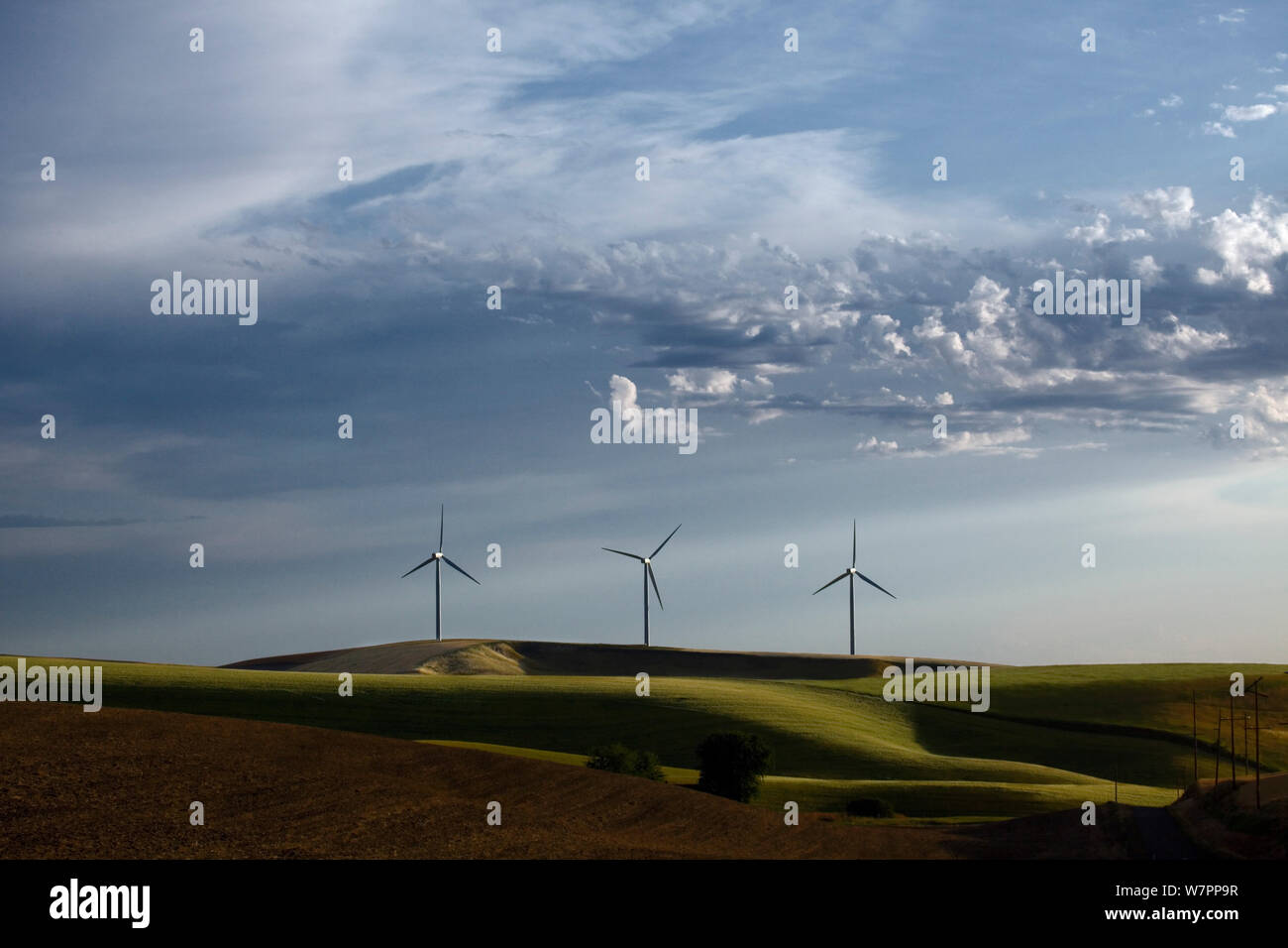 Marengo Wind Facility near Dayton. Washington, USA. August 2011. Stock Photo