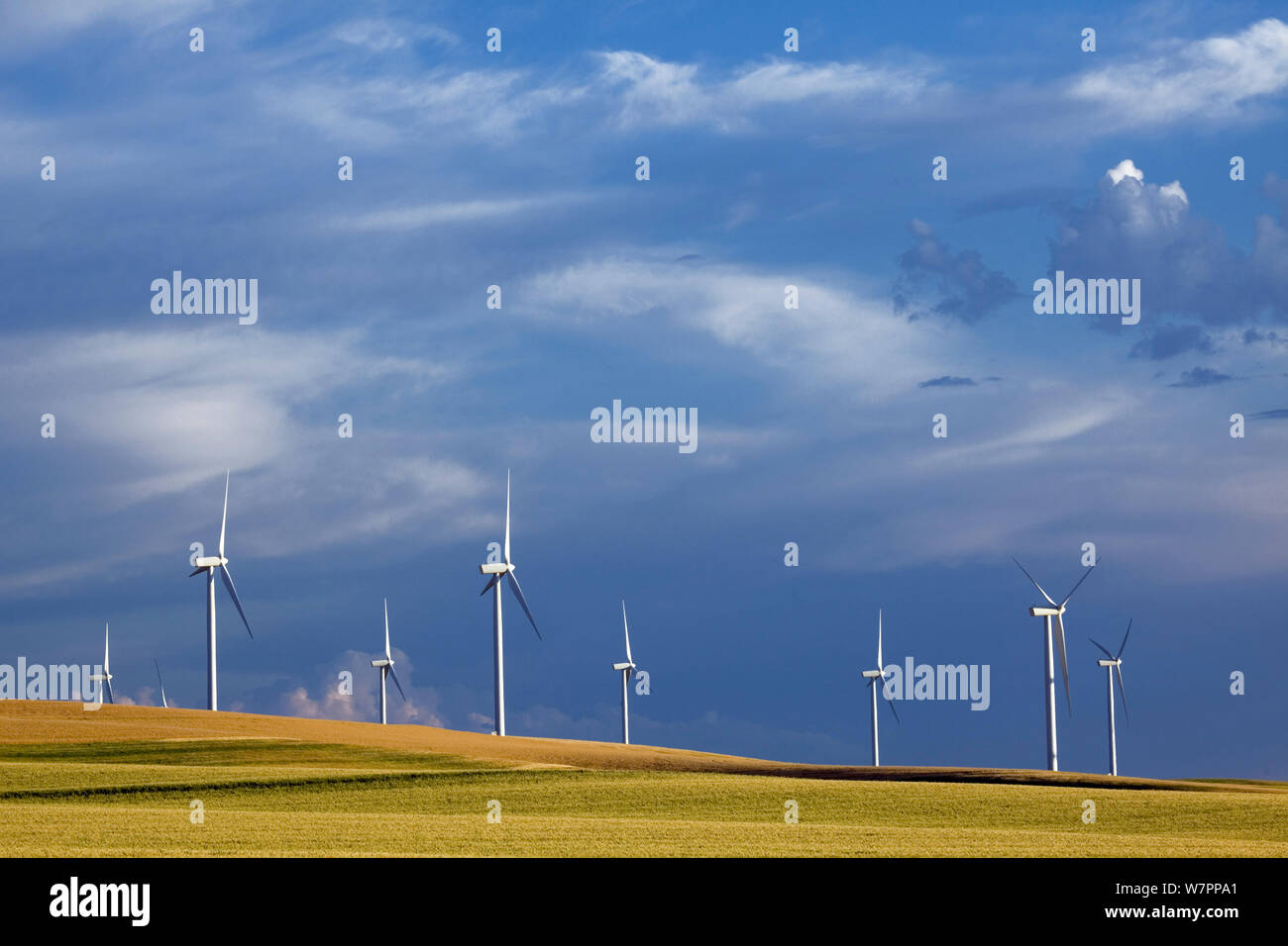 Marengo Wind Facility near Dayton. Washington, USA. August 2011. Stock Photo