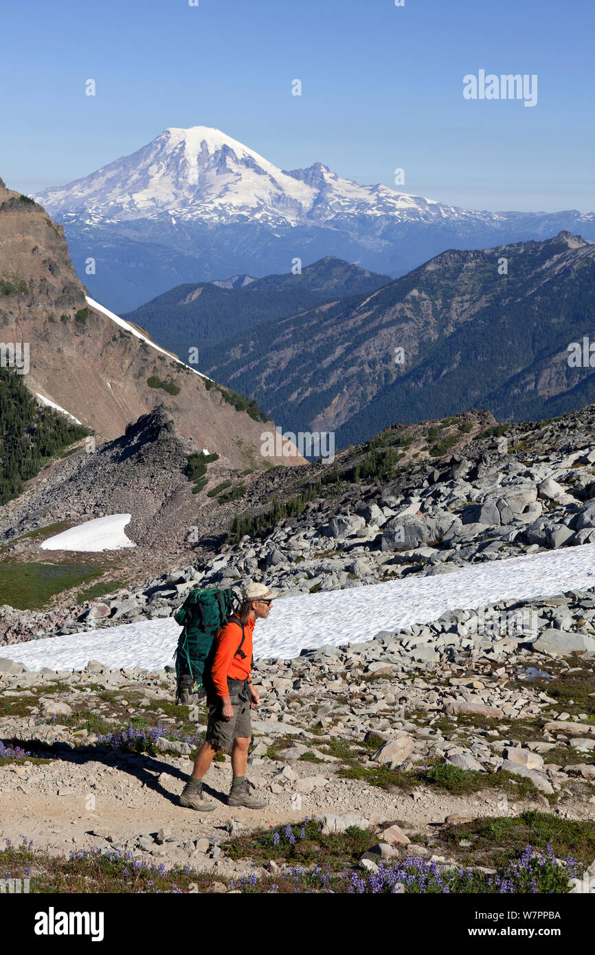 Hiker on the Pacific Crest Trail in the Got Rocks Wilderness, Gifford Pinchot National Forest. Washington, USA, August 2012. Model released Stock Photo