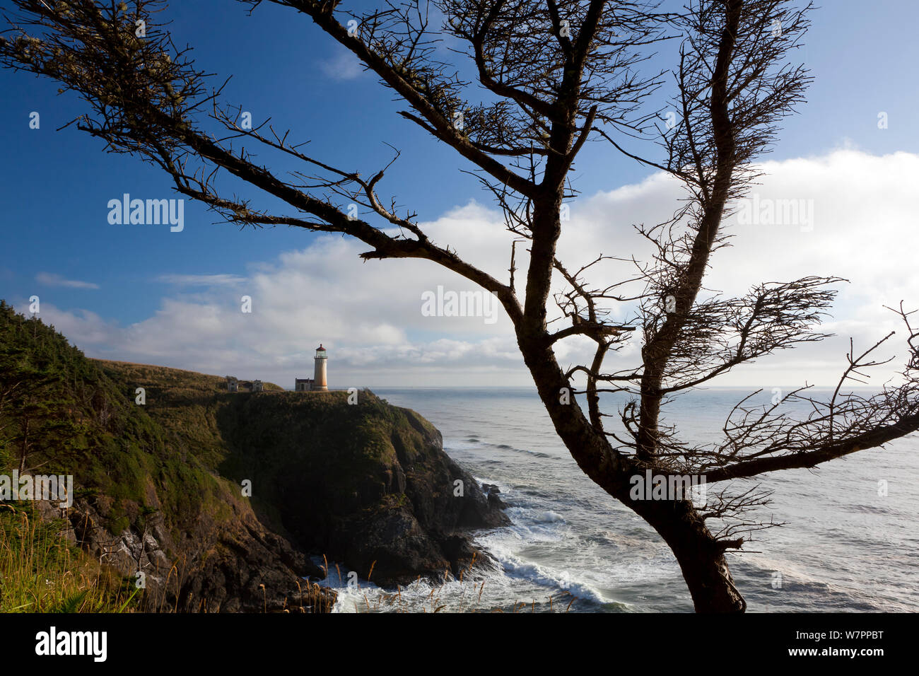 North Head Lighthouse in Cape Dissappointment State Park. Washington, USA, August 2012. Stock Photo