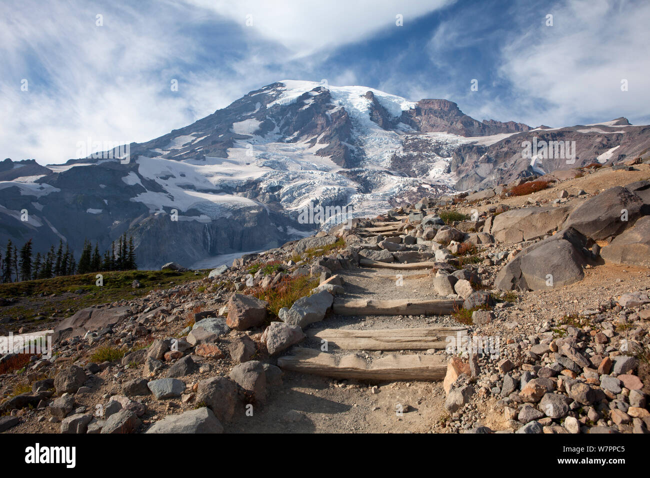 The Skyline Trail in the Paradise area of Mount Rainier National Park. Washington, USA, August 2012. Stock Photo