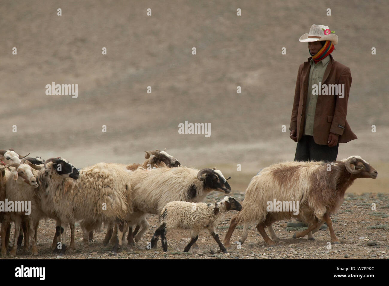 Drokpa man hi-res stock photography and images - Alamy