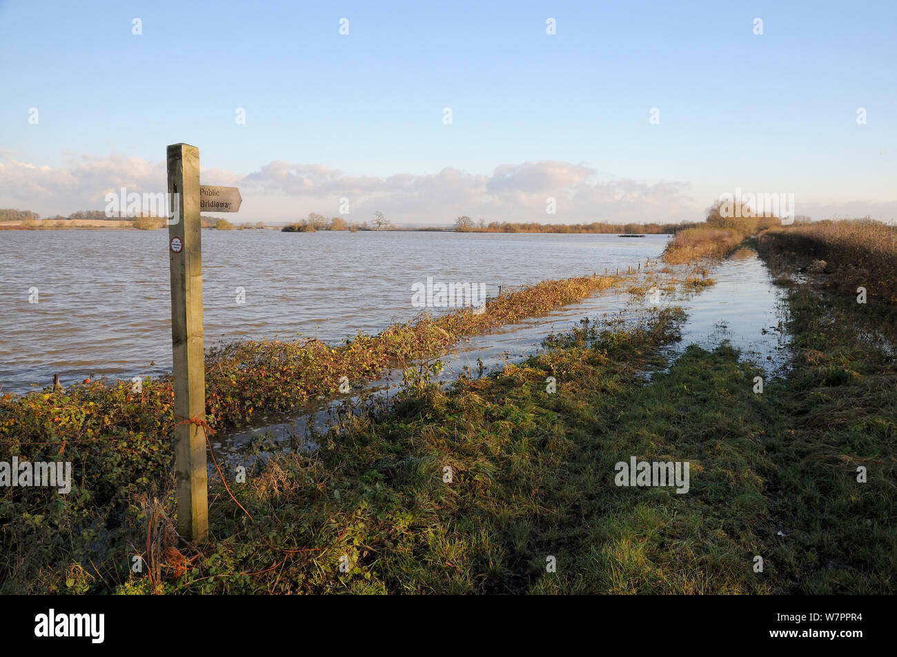 Hambridge Hambridge somerset hi-res stock photography and images - Alamy