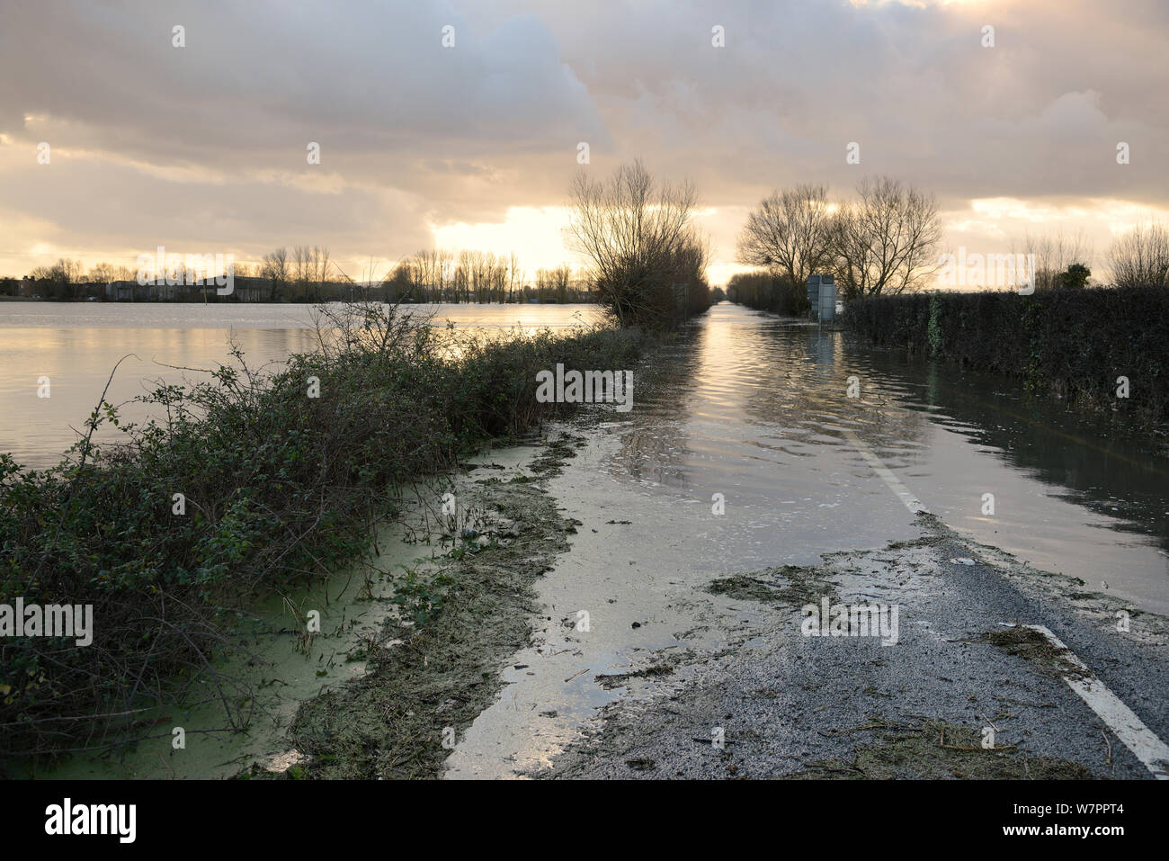Severely flooded and closed A361 road at sunset between Burrowbridge and East Lyng across Southlake moor after weeks of heavy rain, Somerset Levels, UK, January 2013. Stock Photo