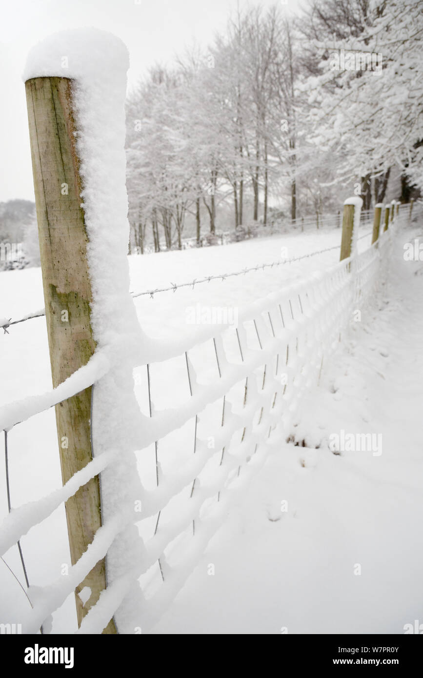Fences and trees hires stock photography and images Alamy