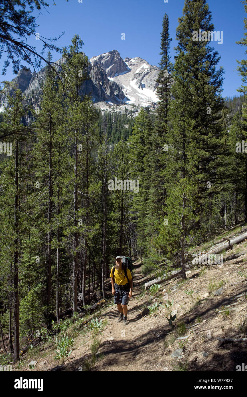 Hiker on the Boundary Trail with McGowin Peak in the background - Sawtooth Wilderness. Idaho, USA, July 2011. Model released Stock Photo