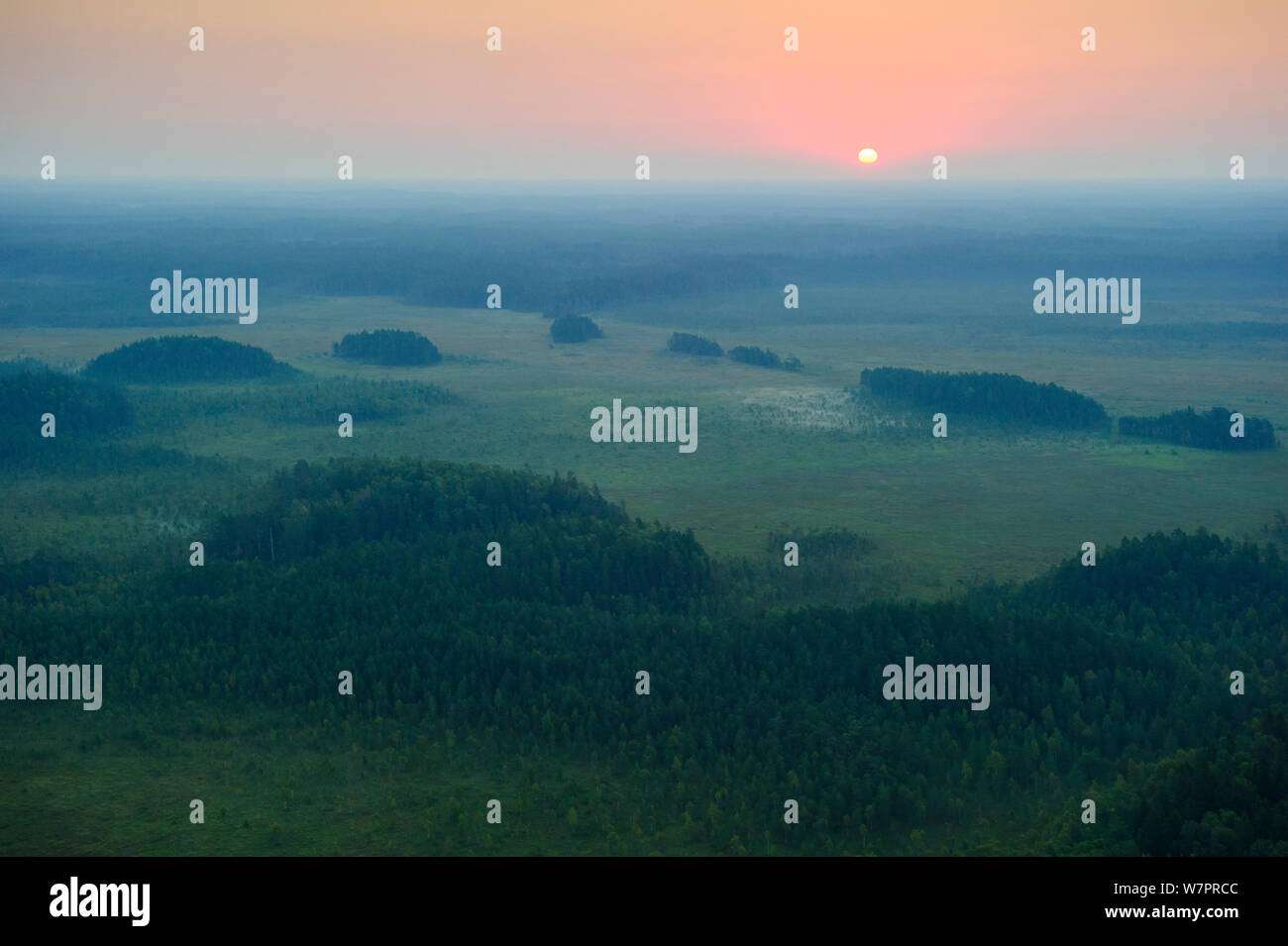 Sunrise over  mineral islands in the Muraka bog in Eastern Estonia. August 2011. Stock Photo