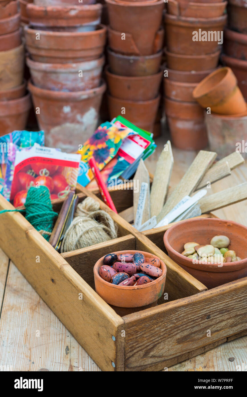 Potting bench with saved seeds including a pot of Runner beans (Phaseolus coccineus) and other gardening items Stock Photo