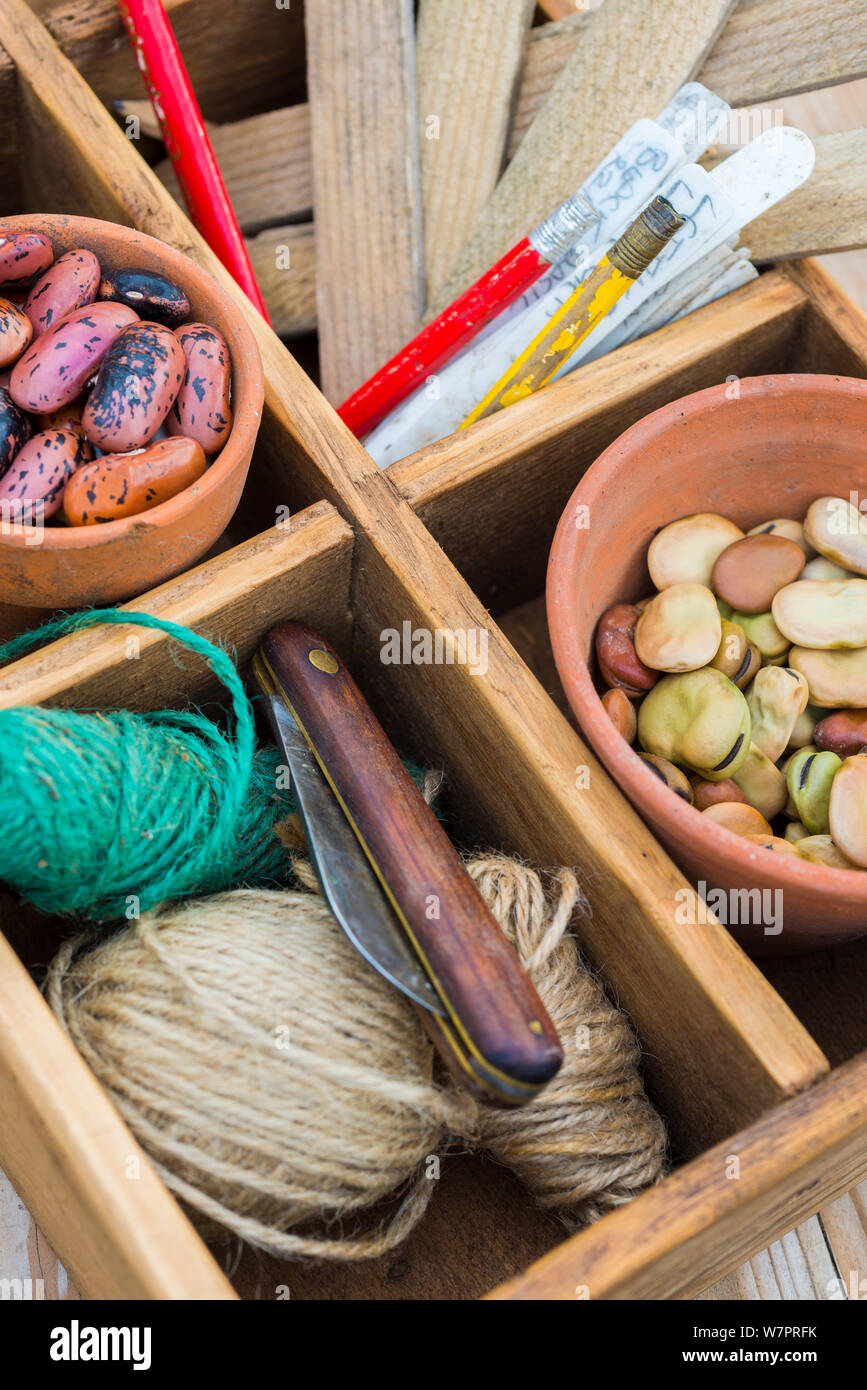 Potting bench with saved seeds including a pot of Runner beans (Phaseolus coccineus) and broad beans (Vicia faba) and other gardening items Stock Photo