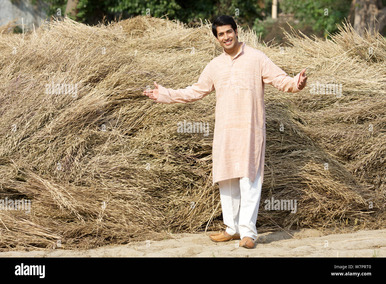 Farmer showing his harvested crop in a field Stock Photo - Alamy