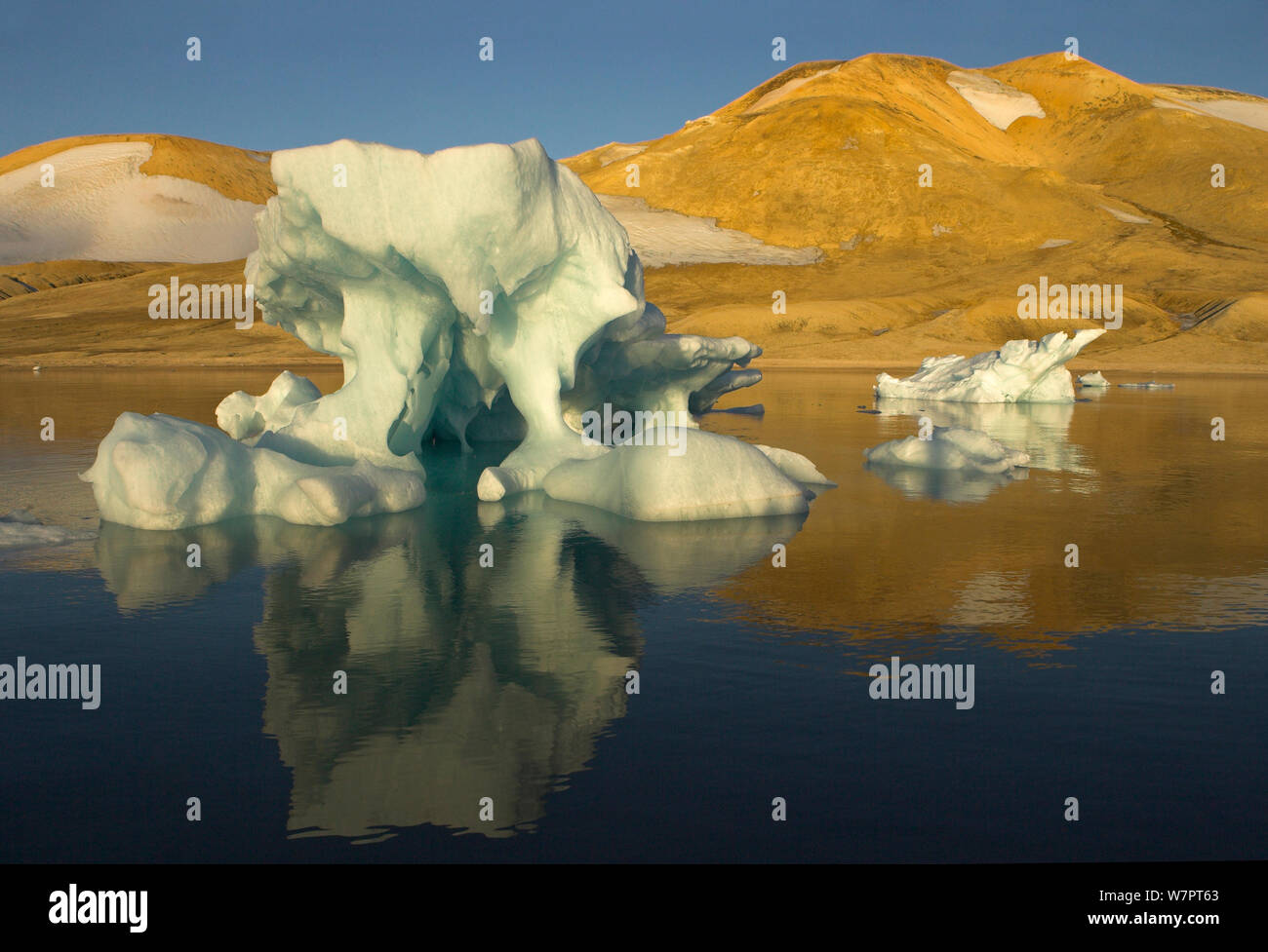 Icebergs afloat and fjord, Svalbard, Norway, August 2008. Bookplate from Danny Green's 'The Long Journey North' Stock Photo