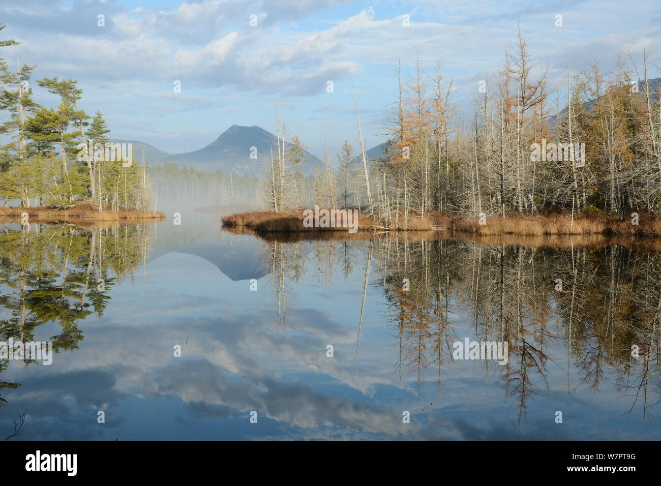 Usa maine baxter state park hires stock photography and images Alamy