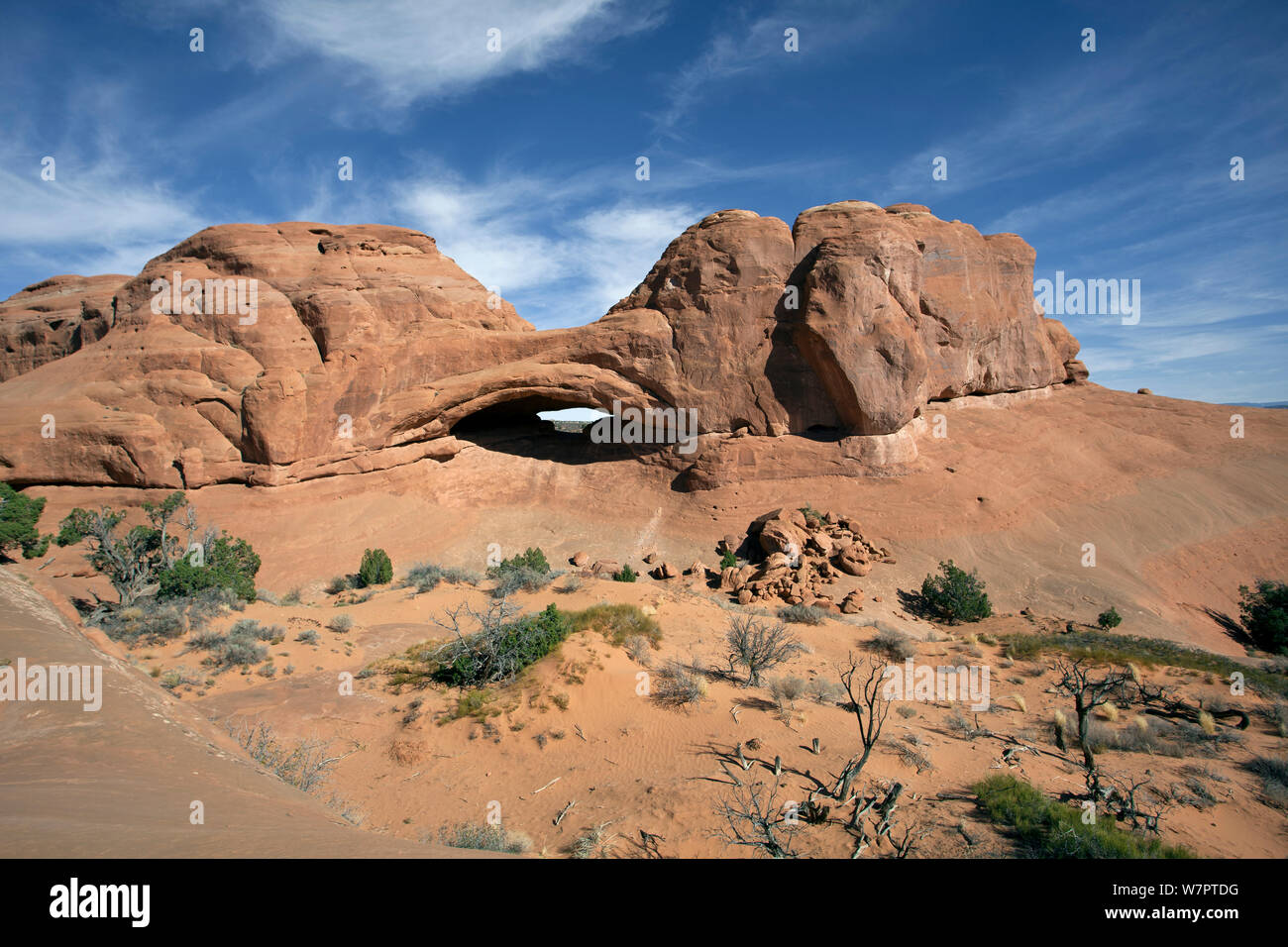 Eye of whale arch hi-res stock photography and images - Alamy