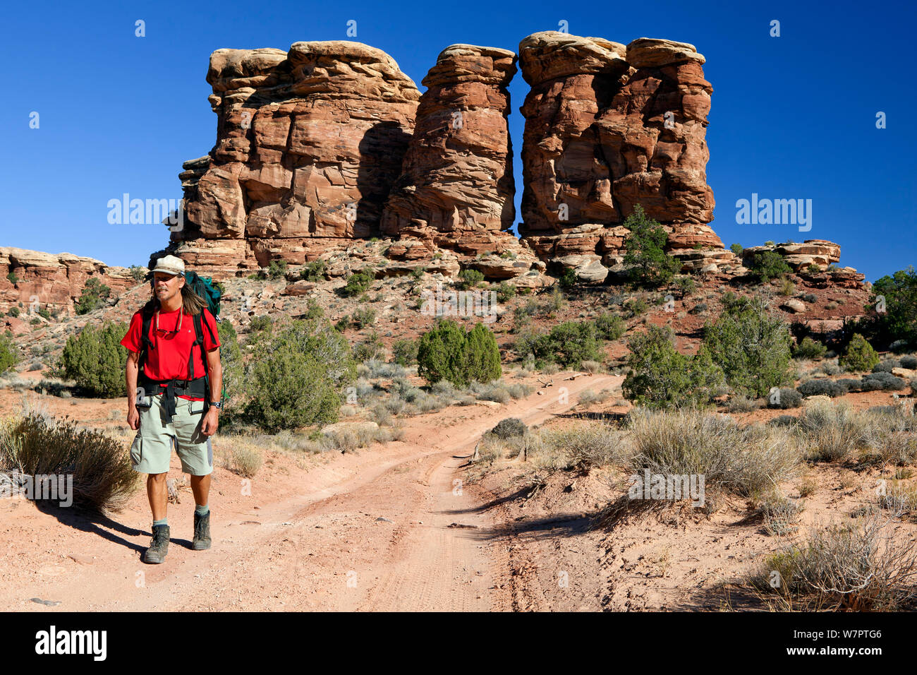 Hiker on the Elephant Hill 4-wheel drive trail in the Needles District. Canyonlands National Park, Utah, October 2012. Model released. Stock Photo