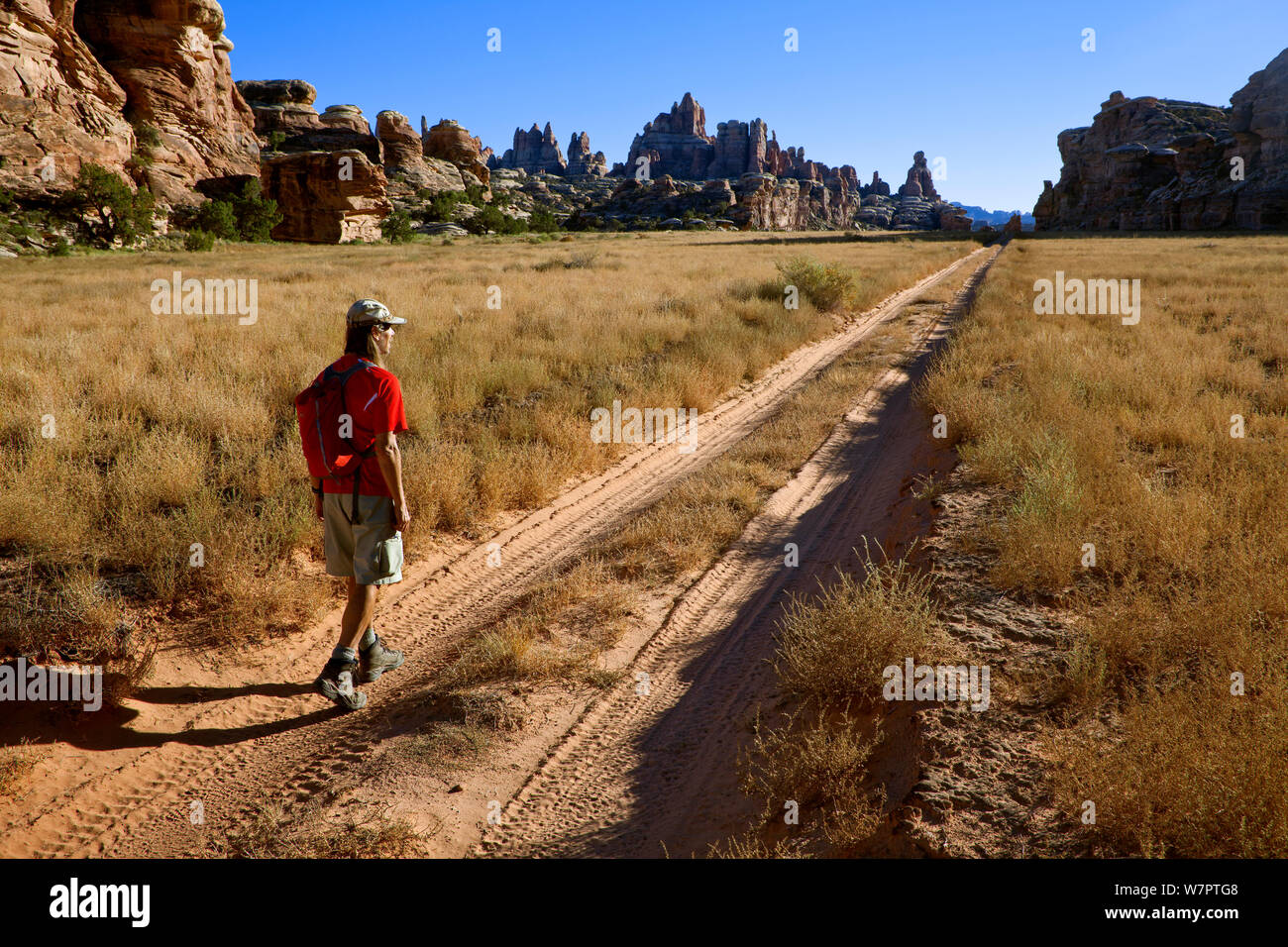 Hiker on the Devils Lane 4-wheel drive trail in the Needles District. Canyonlands National Park, Utah, October 2012. Model released. Stock Photo