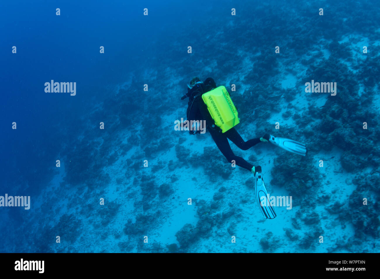 Rebreather diver over the reef, Maldives, Indian Ocean Stock Photo