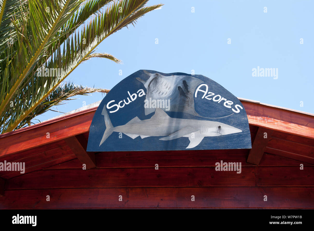 Scuba Azores sign with Great Blue shark, (Prionace glauca) image, Pico Island, Azores, Portugal, Atlantic Ocean Stock Photo