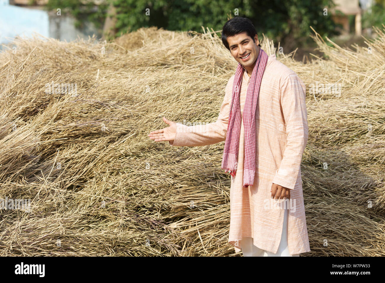 Farmer showing his harvested crop Stock Photo - Alamy