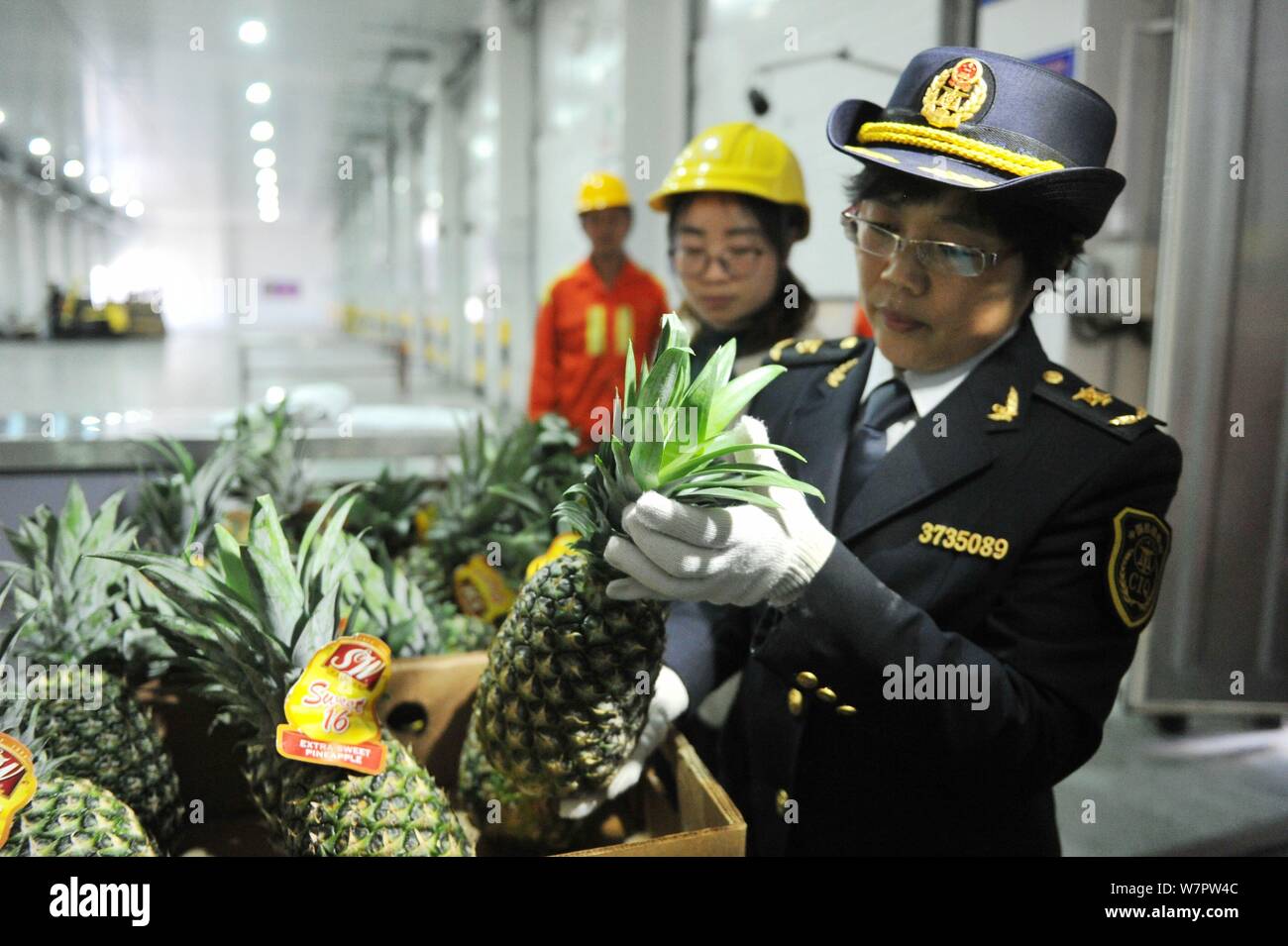 --FILE--Chinese customs officers check the imported pineapples in ...