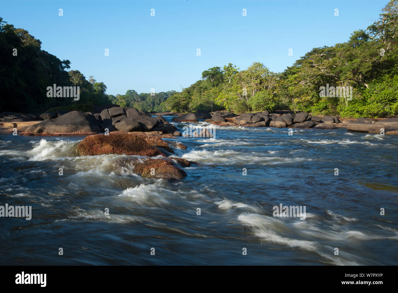 Gran Rio flowing through the Awadan Rapids. Central Suriname, September. Stock Photo