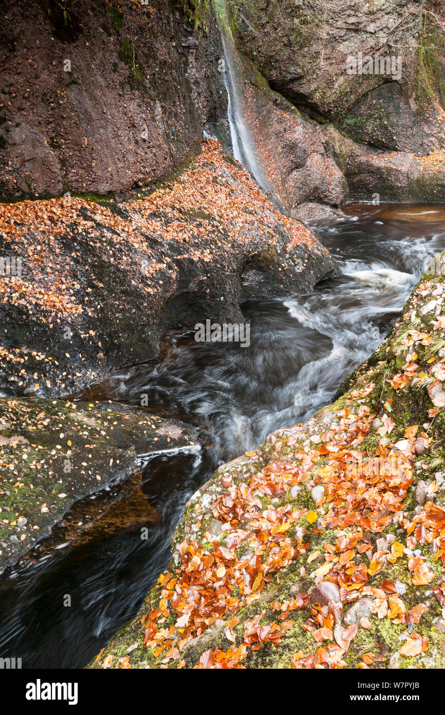 River North Esk at the Gannochy Gorge, Edzell. Scotland, October 2012. Stock Photo