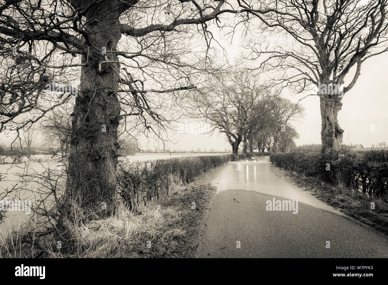 Road leading into the flooding on the River South Esk, Angus, Scotland, 23rd December 2012. Stock Photo