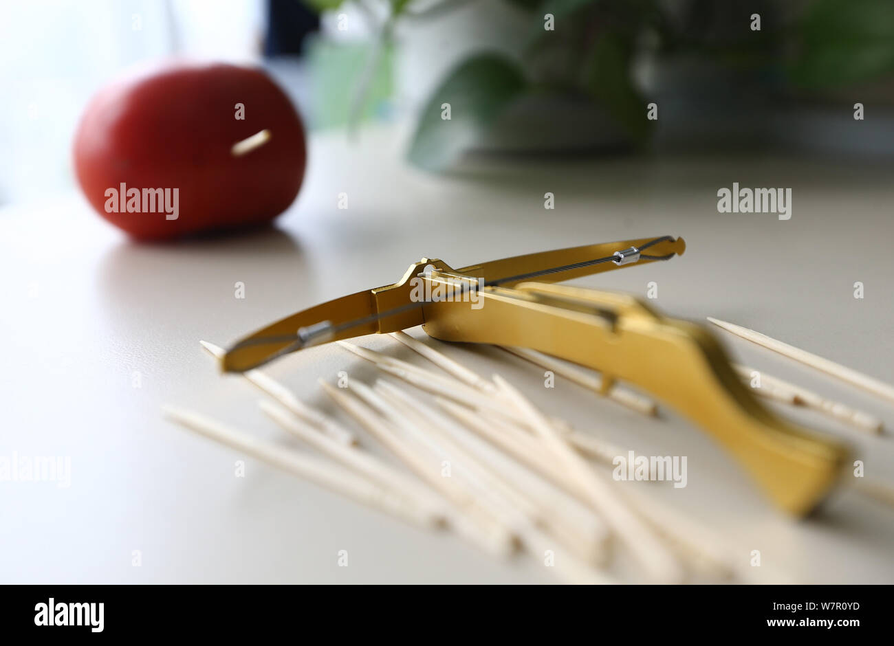 toothpick uses