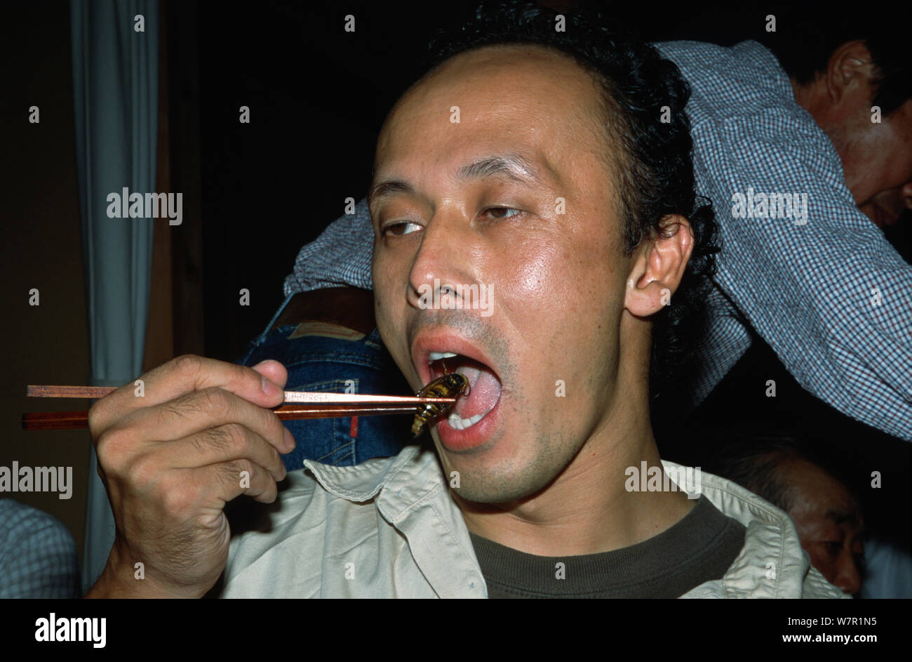 Man eating Japanese giant hornet (Vespa mandarinia) deep fried, Ina Nagano Province, Japan, March 2006 Stock Photo