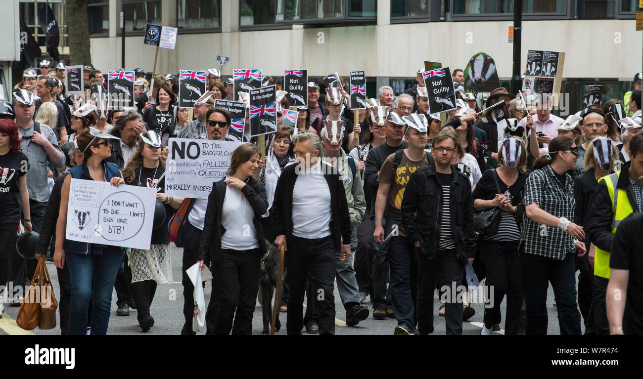 Group of demonstrators at anti badger cull march, London, 1st June 2013 Stock Photo