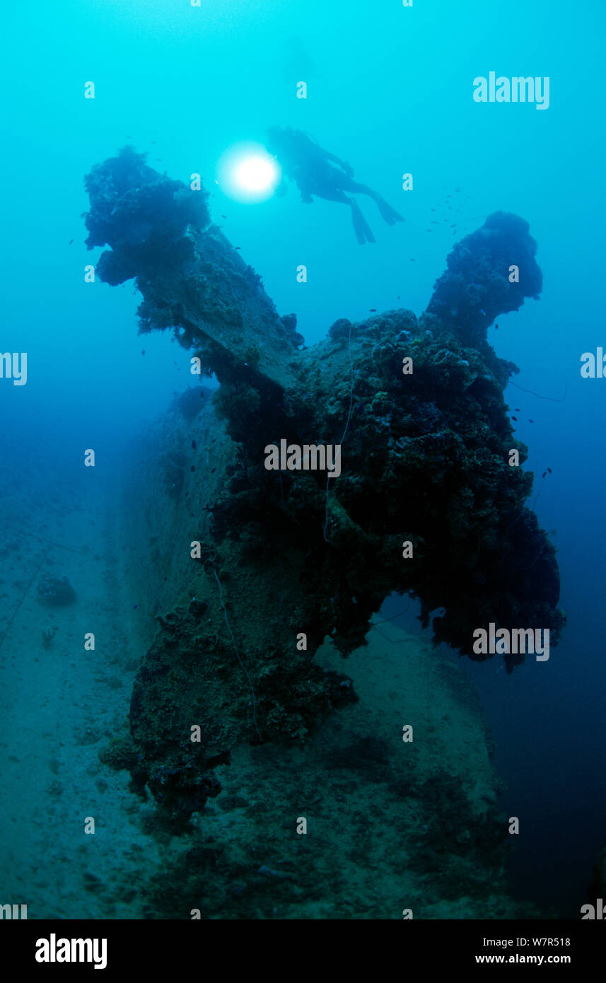 Diver on the propellor of the 'Heian Maru' large cargo vessel sunk at