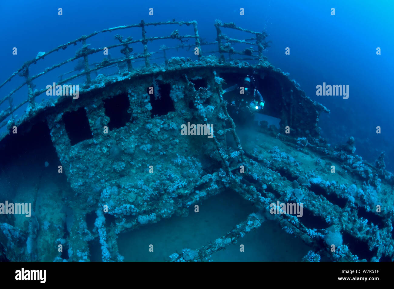 Wreck of the 'Iouna'. Diver at the ships stern - probably the bosuns store. Wrecked between 1912-1918. Sharmo reef, Yanbu, Saudi Arabia, July 2010 Stock Photo