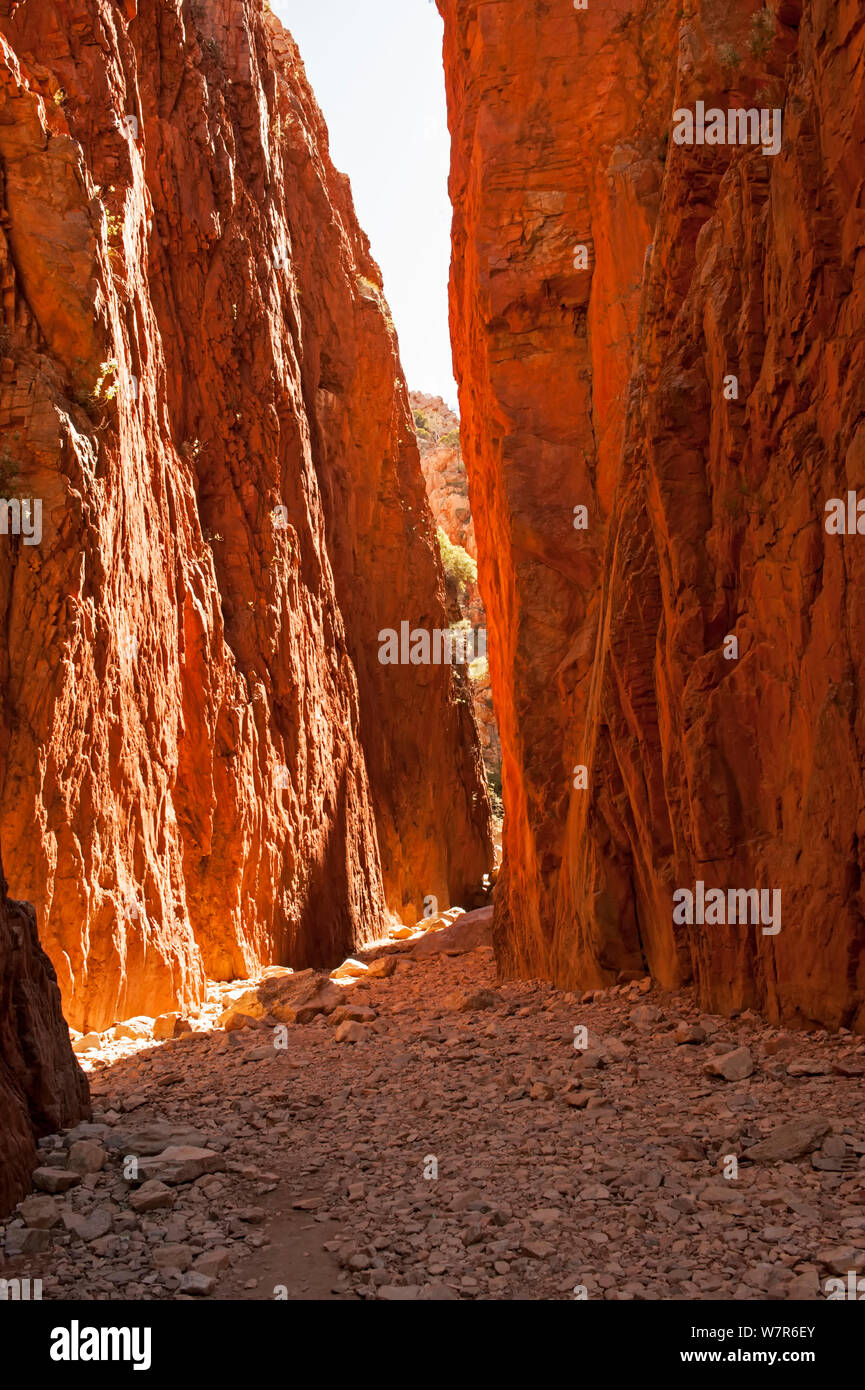 Standley chasm northern territory hi-res stock photography and images ...