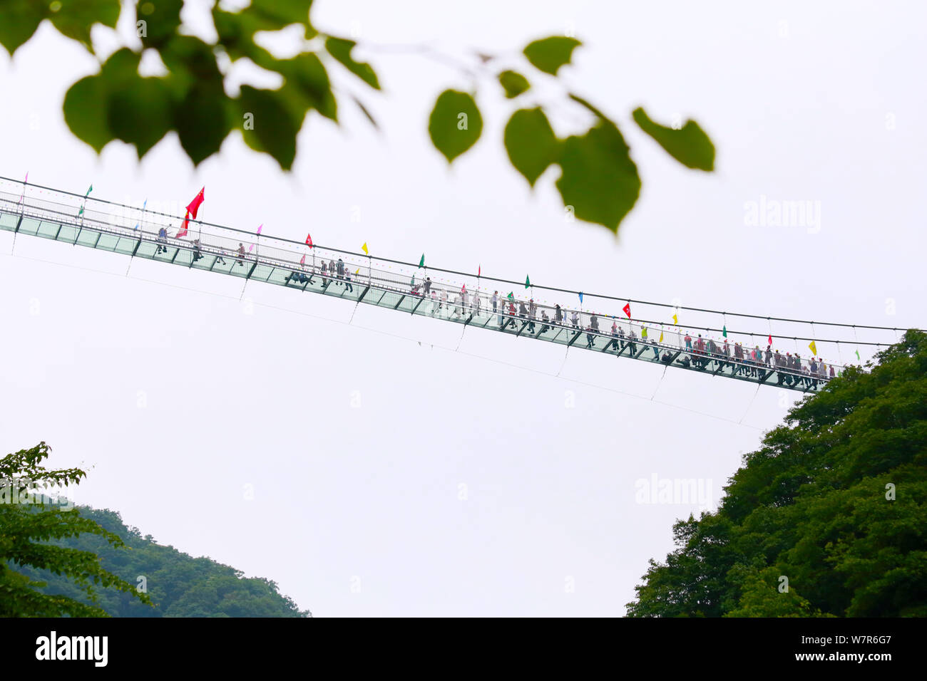 An worm's eye view of the glass bridge crowded with tourists at the Tianlongchi scenic area in Pingdingshan city, central China's Henan province, 11 J Stock Photo