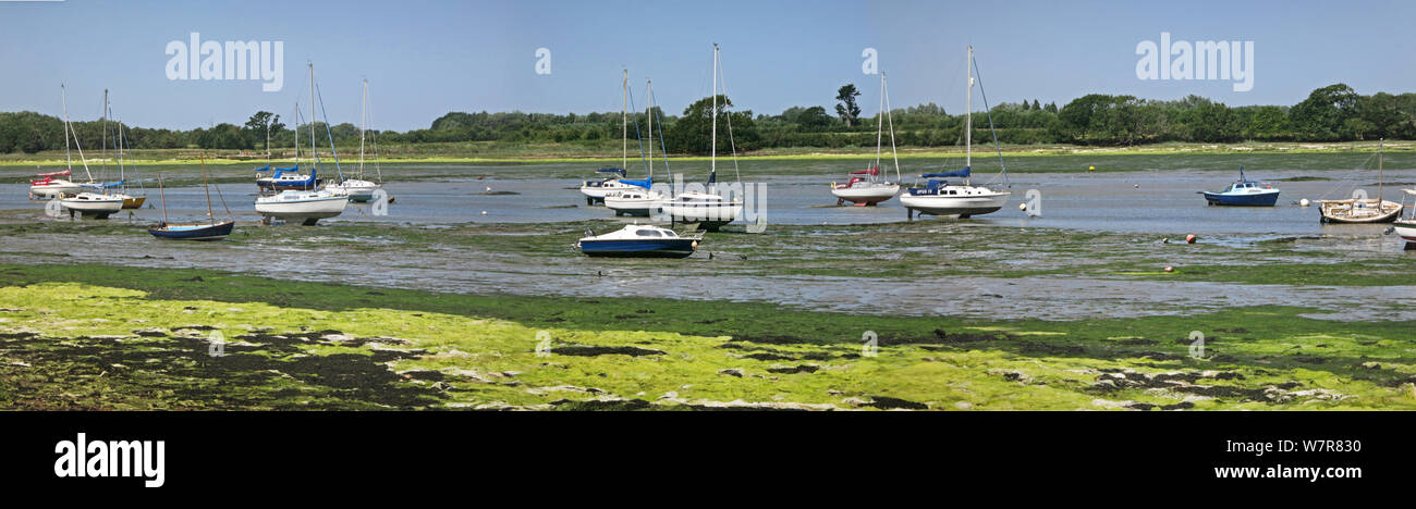 Panoramic view of Chichester Harbour, a popular sailing area in West Sussex, UK. Shows Chichester Channel near Dell Quay at low tide. Stock Photo