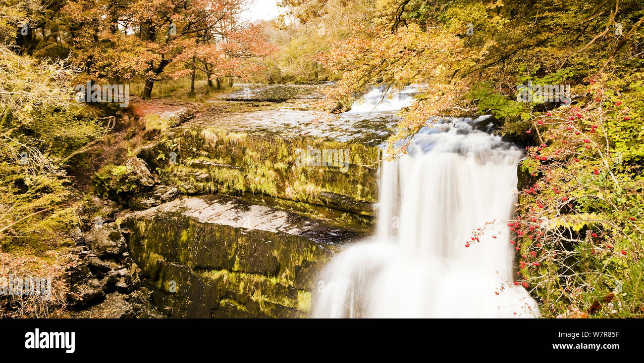 Waterfall, Brecon Beacons National Park, Powys, Wales, UK, October 2012 Stock Photo