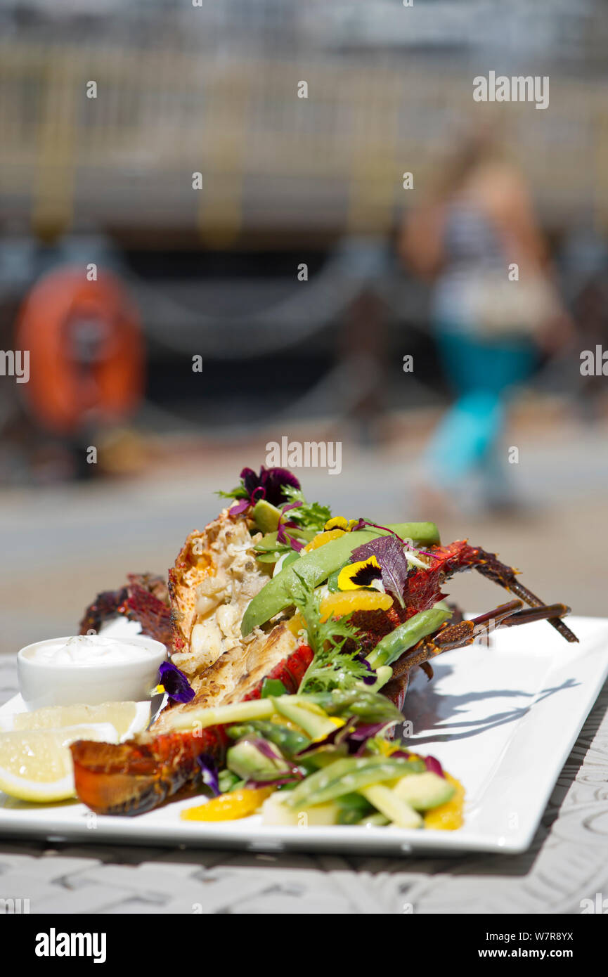 West coast rock lobster (Jasus lalandii) cooked lobster at OYO