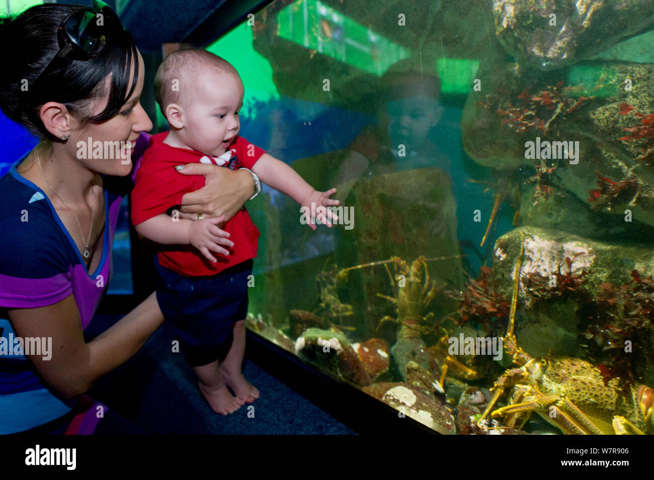 Baby Jasus Hi res Stock Photography And Images Alamy