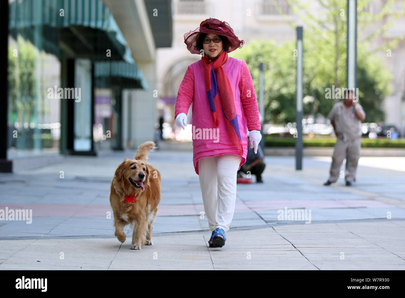 The golden retriever painted with a pair of thick eyebrows is pictured with its owner in Shenyang city, northeast China's Liaoning province, 21 June 2 Stock Photo