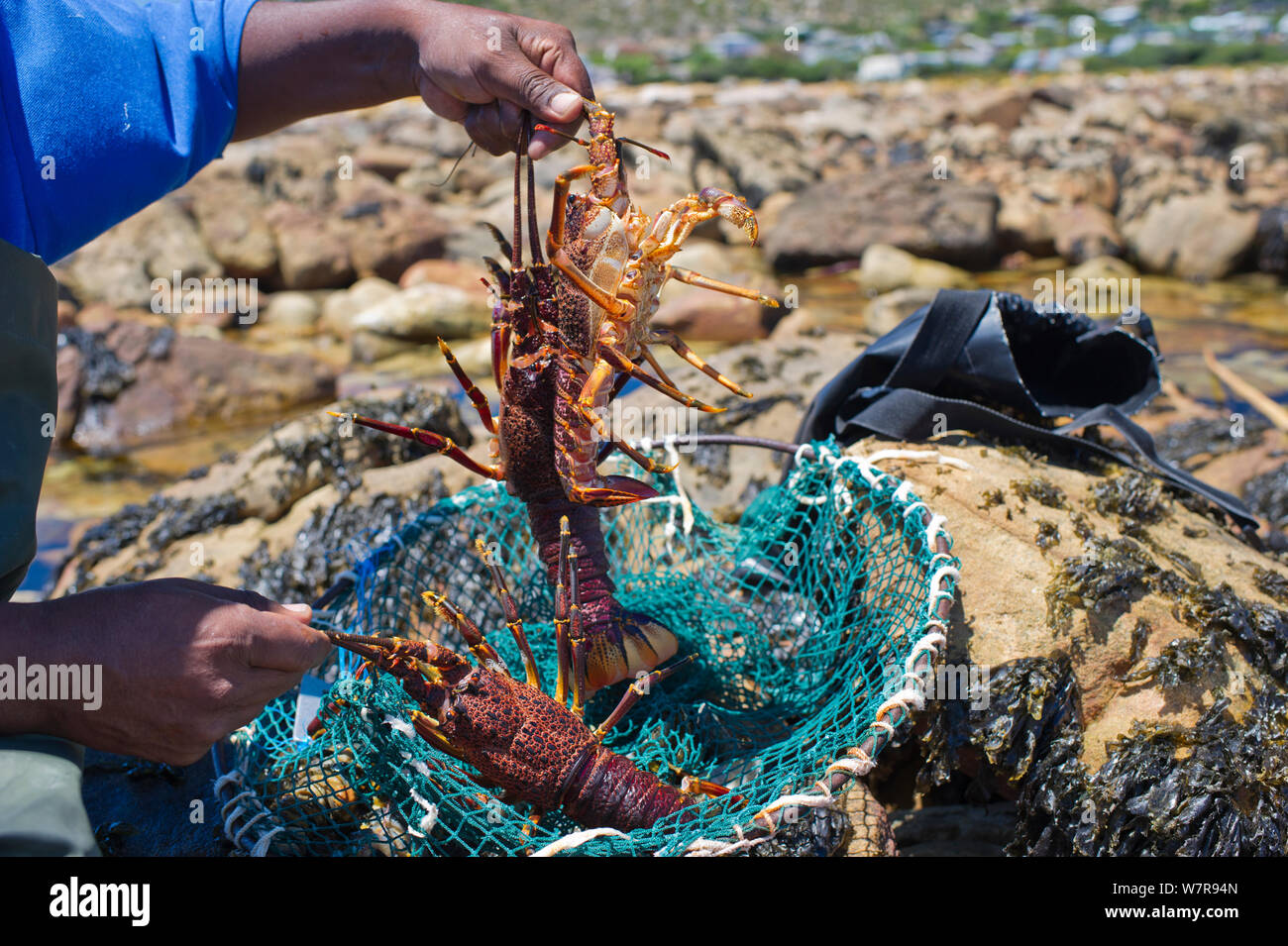 Recreational netting hi-res stock photography and images - Alamy