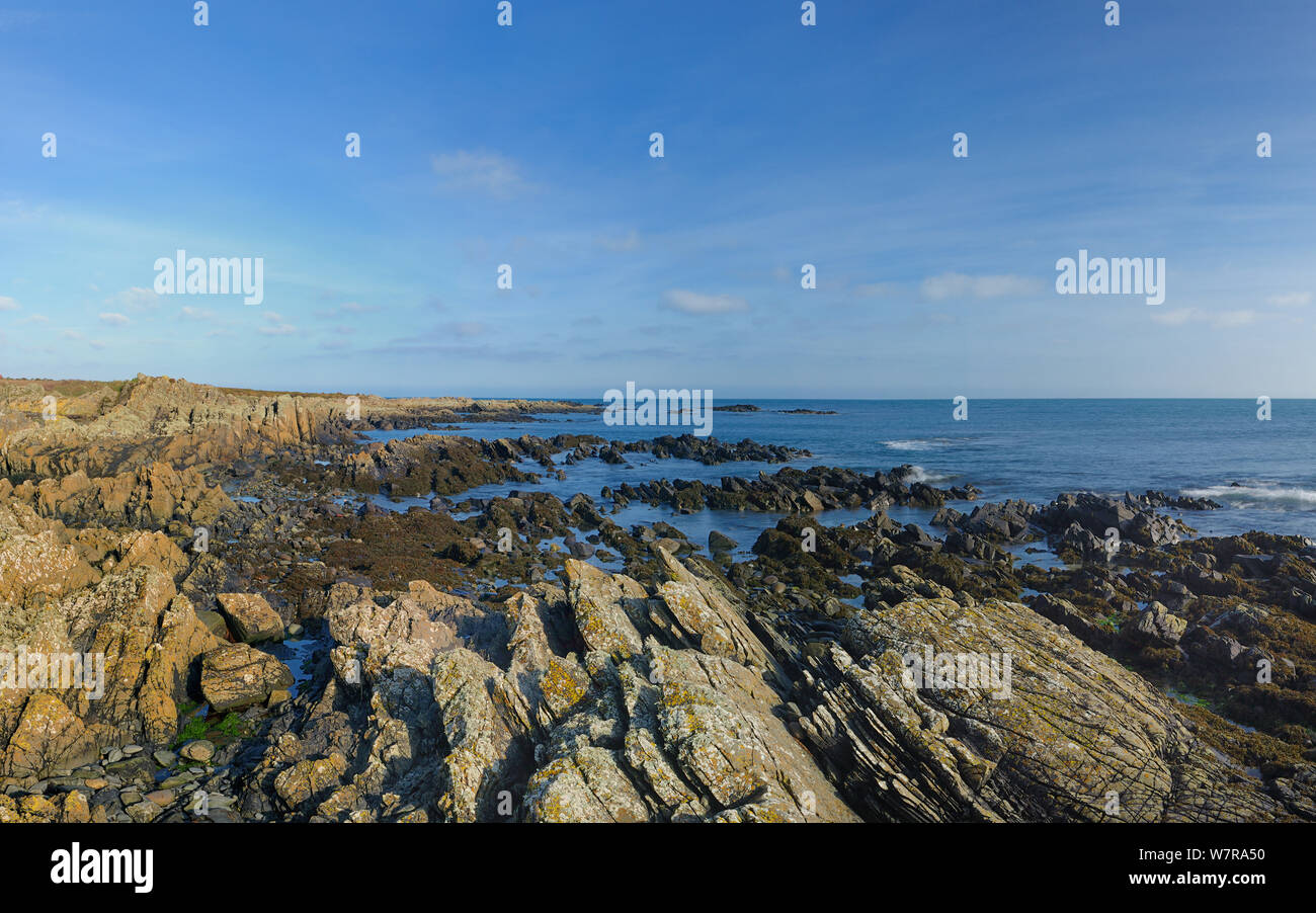 Coastline of St John's Point, near Kilough, County Down, Northern Ireland, February Stock Photo