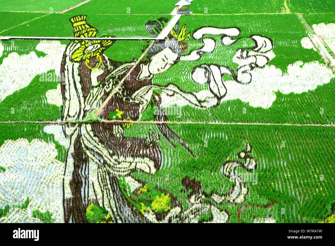 A 3D rice paddy painting called "Celestial Beauty Scattering Flowers ...