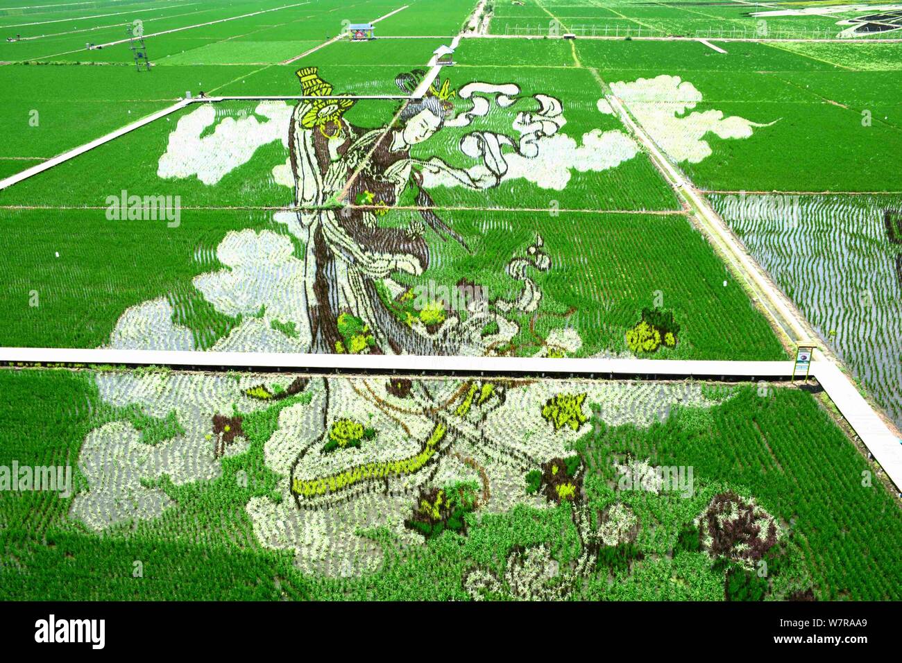 A 3D rice paddy painting called "Celestial Beauty Scattering Flowers ...