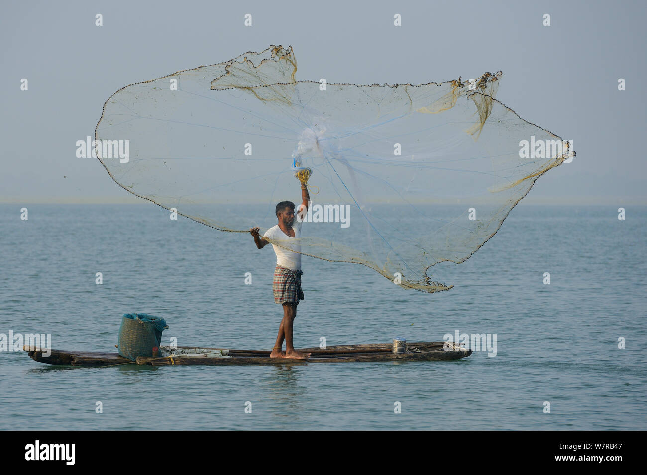 Throw-net fisherman, on raft, Pulicat Lake, Tamil Nadu, India, January 2013  Stock Photo - Alamy