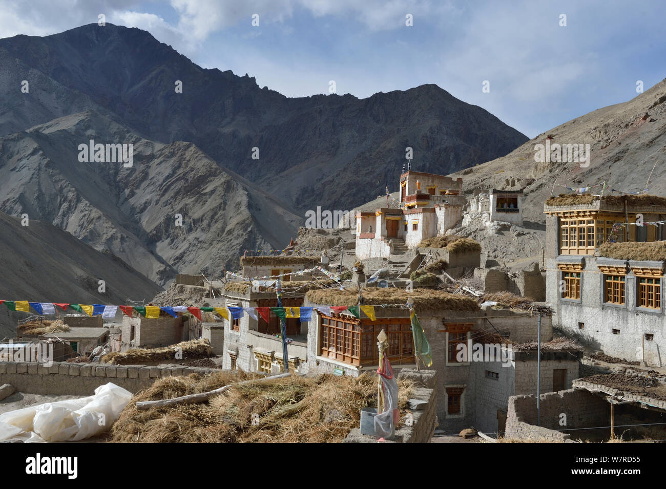 Rumbak Village, Rumbak Valley, Hemis NP, at altitude of 4100m, Ladakh, India, October 2012 Stock Photo