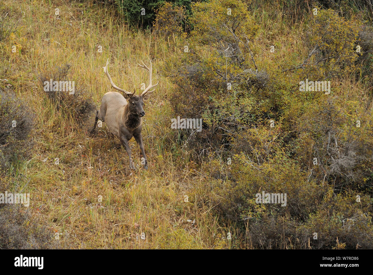 Kirghizstan Stock Photos Kirghizstan Stock Images Page 2 Alamy